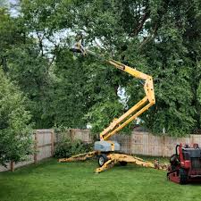 Best Utility Line Clearance  in Rosemont, IL