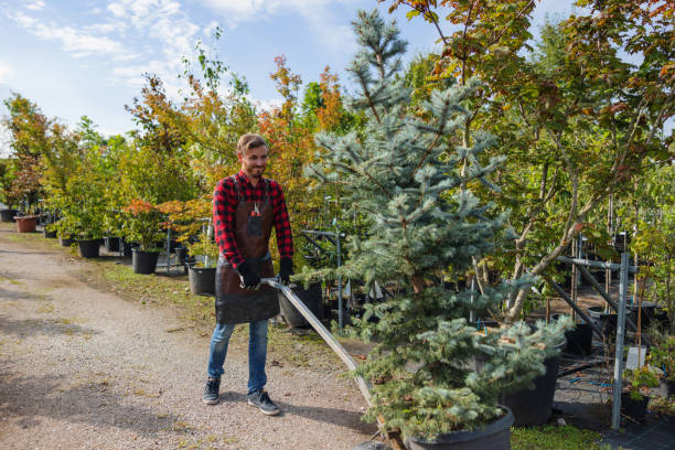 Mulching Services in Rosemont, IL